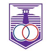 德芬索后备队logo